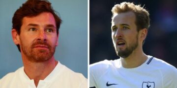 Harry Kane ‘will have to leave Tottenham if he hungers for trophies’, says former manager Andre Villas-Boas