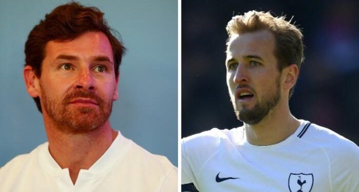 Harry Kane ‘will have to leave Tottenham if he hungers for trophies’, says former manager Andre Villas-Boas