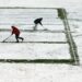 Which football matches have been postponed due to the 'Beast from the East'? Find out here
