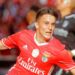 Transfer rumour: Newcastle, West Ham, Brighton and Swansea monitoring £20million-rated Argentine