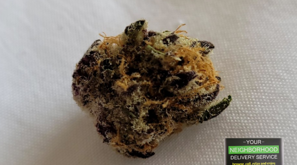 World of Cannabis – Product of the day: Purple punch