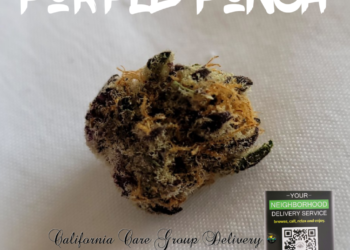 World of Cannabis – Product of the day: Purple punch