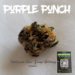 World of Cannabis – Product of the day: Purple punch