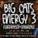 Big Cats Energy 3 Presented by The Lovely Jinnea