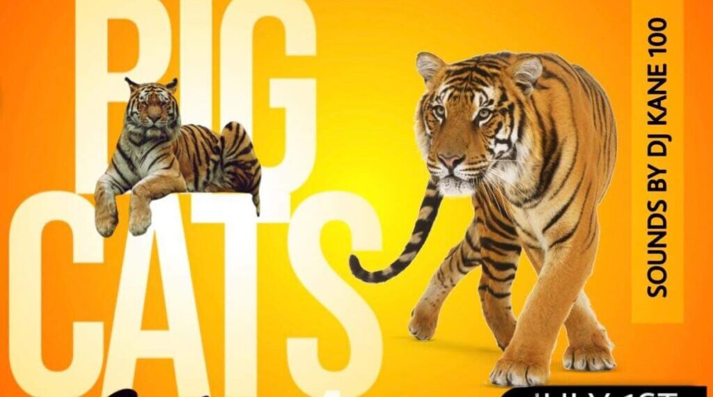 Big Cats Energy 4 is BACK!  A fundraiser showcase – Brought to us by The Lovely Jinnea