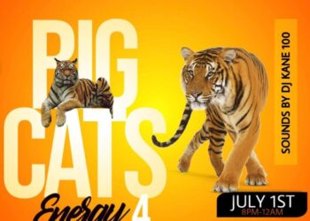 Big Cats Energy 4 is BACK!  A fundraiser showcase – Brought to us by The Lovely Jinnea