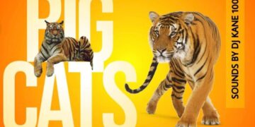 Big Cats Energy 4 is BACK!  A fundraiser showcase – Brought to us by The Lovely Jinnea